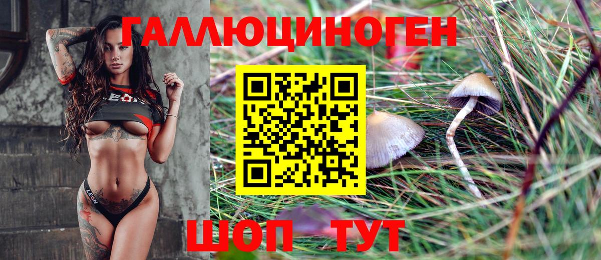 Галлюциногенные грибы Psilocybine cubensis Новотроицк